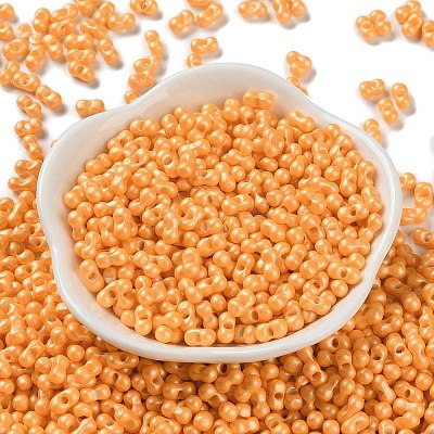 Glass Seed Beads SEED-L011-04A-06-1