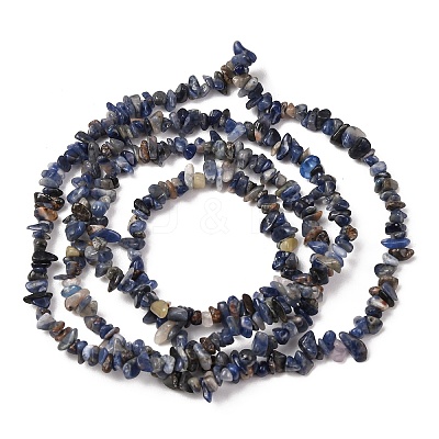 Natural Sodalite Chips Beads Strands F024-1