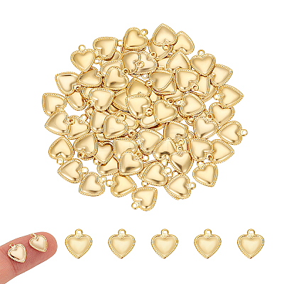 304 Stainless Steel Charms STAS-UN0007-26G-1