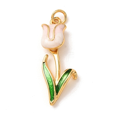 Brass with Enamel Pendants KK-CBA2F11-06G-04-1