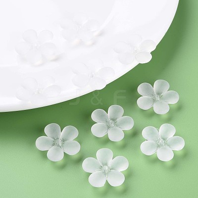 Transparent Acrylic Beads MACR-S373-116-D01-1