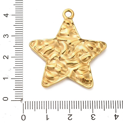 304 Stainless Steel Pendants X-STAS-P417-04B-G-1