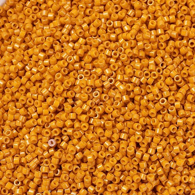 MIYUKI Delica Beads X-SEED-J020-DB2104-1