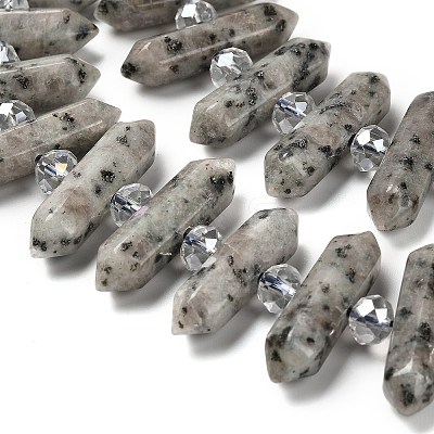 Natural Sesame Jasper Double Terminated Point Beads Strands G-H069-B05-01-1