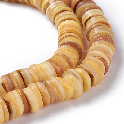 Natural Freshwater Shell Beads Strands X-BSHE-I016-04B-1