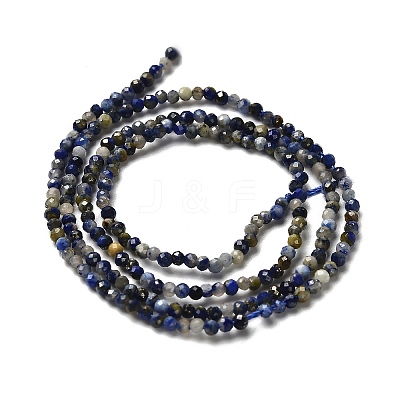 Natural Lapis Lazuli Beads Strands G-RM2025-A21-2mm-1