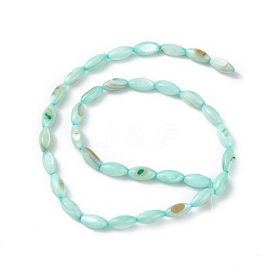 Natural Freshwater Shell Dyed Beads Strands SHEL-M018-13-02-1