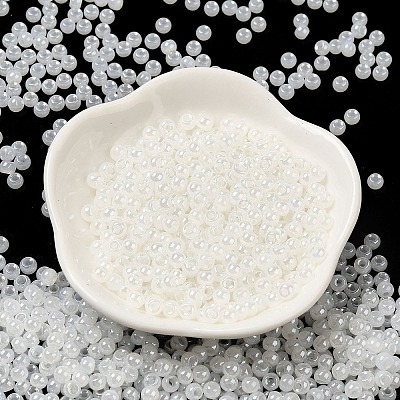 Glass Seed Beads SEED-H002-E-A141-1