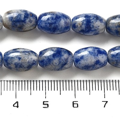 Natural Blue Spot Jasper Beads Strands G-B106-B29-01-1