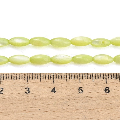 Natural Freshwater Shell Beads Strands SHEL-C010-01D-1