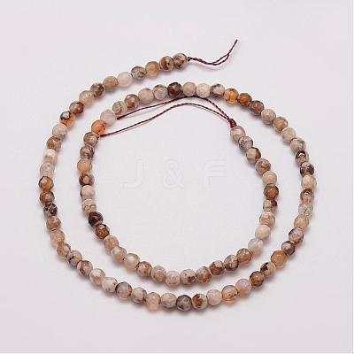 Natural Fire Crackle Agate Beads Strands G-G882-4mm-B06-3-1