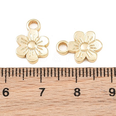 304 Stainless Steel Charms SA-CBA76DA-14G-A-1