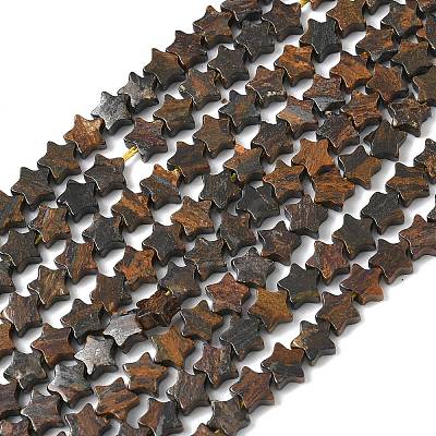 Natural Bronzite Beads Strands G-G085-B60-02-1