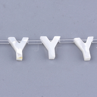Natural Sea Shell Beads X-SHEL-T012-60Y-1