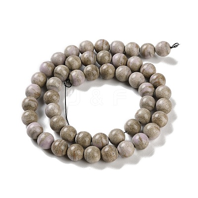Natural Rainbow Alashan Agate Beads Strands G-NH0022-A09-02-1