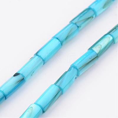 Natural Shell Bead Strands BSHE-P016-06-1