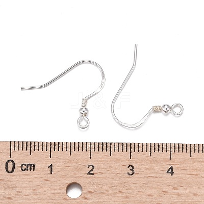 925 Sterling Silver Earring Hooks STER-K167-050S-1