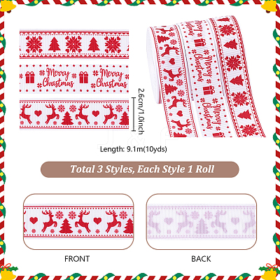 3 Rolls 3 Styles Polyester Ribbon OCOR-PH0006-32-1