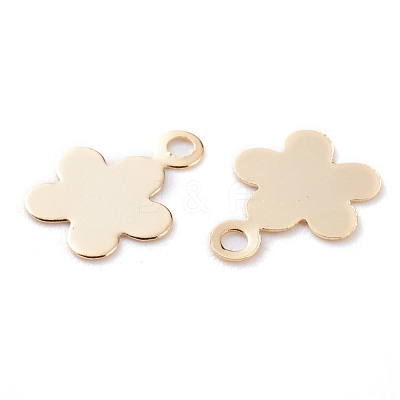 Brass Charms KK-Y003-34G-1