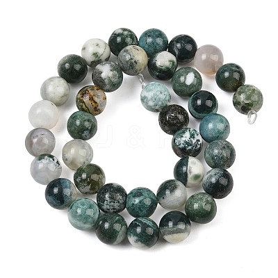 Natural Tree Agate Beads Strands X-G-I199-03-10mm-1