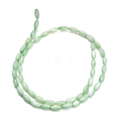 Natural Freshwater Shell Beads Strands SHEL-C010-01-1