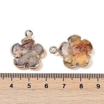 Natural Crazy Agate Pendants G-P566-01G-05-1