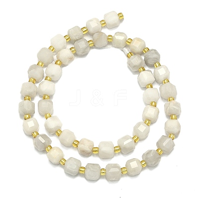 Natural Whtie Crazy Agate Beads Strands G-I376-D88-01-1