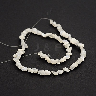 Natural White Moonstone Bead Strands G-J280-01-1