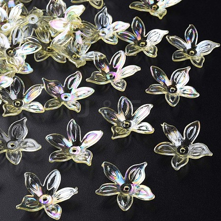 Transparent Acrylic Beads MACR-S373-102-C06-1