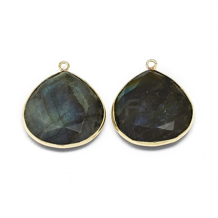 Natural Labradorite Pendants G-E526-05A-1