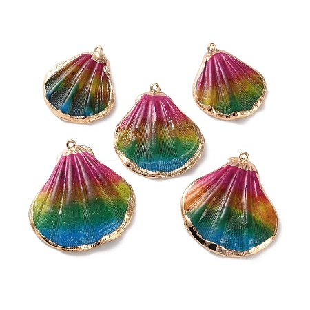 Sea Shell Pendants SSHEL-B002-07G-03-1