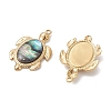 Natural Paua Shell Epoxy Resin Pendants PALLOY-JF05271-01-2