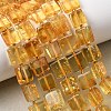 Natural Amber Beads Strands G-C260-A01-03-1