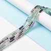 Natural Fluorite Beads Strands G-G837-26-2