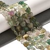 Natural Green Fluorite Beads Strands G-R190-10mm-47-1