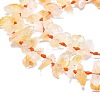 Natural Citrine Beads Strands G-F715-071A-3