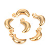304 Stainless Steel Charms STAS-L244-17G-1
