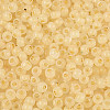 6/0 Transparent Inside Colours Glass Seed Beads SEED-N008-08N-3