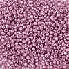 8/0 Glass Seed Beads SEED-A017-3mm-1110-2