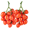 Mini Plastic Imitation Cherry Tomato DJEW-WH0042-57-1
