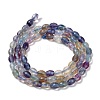 Natural Fluorite Beads Strands G-H320-A01-3
