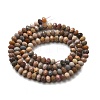 Natural Alashan Agate Beads Strands G-C127-B01-01-7