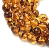 Natural Amber Beads Strands G-L095-B01-8mm-04-4