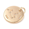 Brass with Clear Cubic Zirconia Pendants LS-KK-N256-24E-G-2