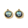 Natural Paua Shell Pendants STAS-G397-01G-02-1