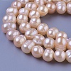 Natural Cultured Freshwater Pearl Beads Strands PEAR-E004-23-01-3