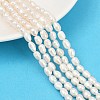 Natural Cultured Freshwater Pearl Beads Strands PEAR-P064-20H-03A-1