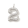 Ion Plating(IP) 304 Stainless Steel Micro Pave Cubic Zirconia Pendants STAS-H228-01P-02-1