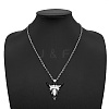 Stainless Steel Pendant Necklaces NC1543-1