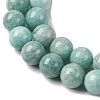 Natural Amazonite Beads Strands G-K068-03-10mmA-4